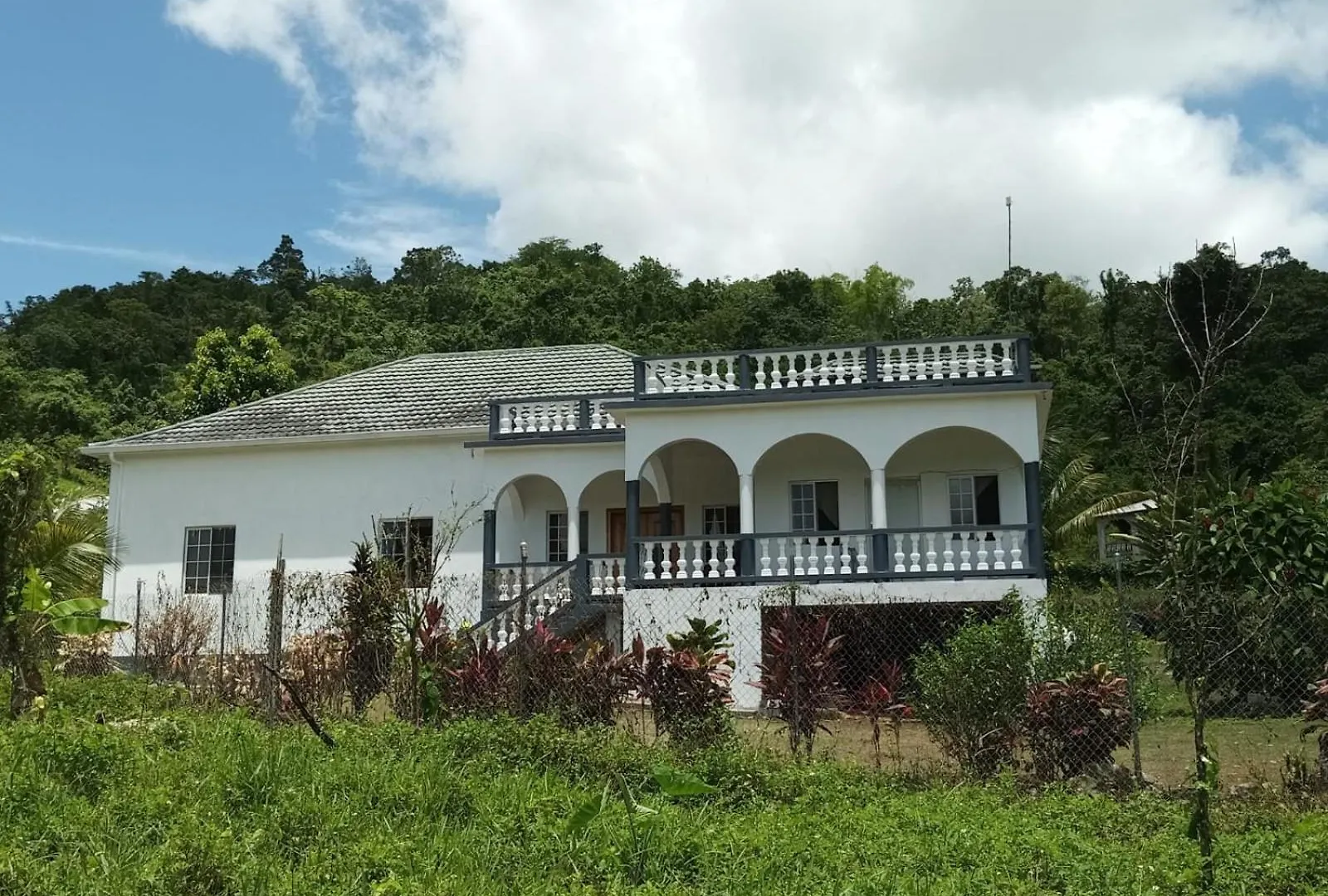 Happy Hall Guesthouse Jamaica Newmarket
